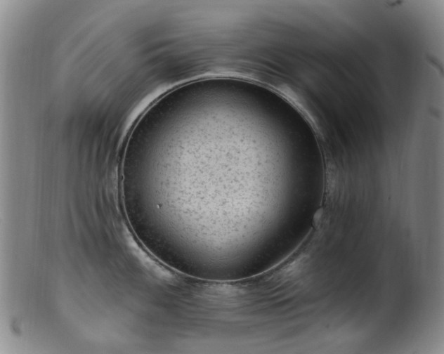 X0000099481100200805161129