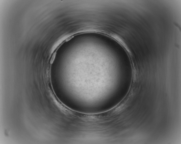 X0000099481101200805161129