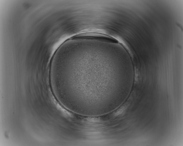 X0000099481102200805161129