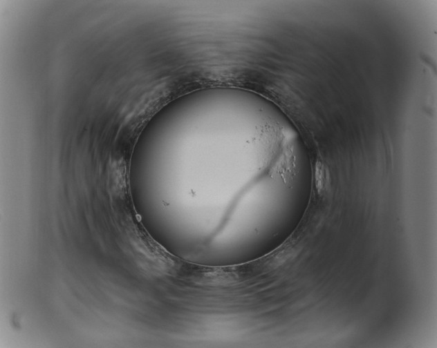X0000099481107200805161128