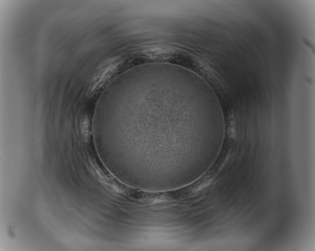 X0000099481108200805161128