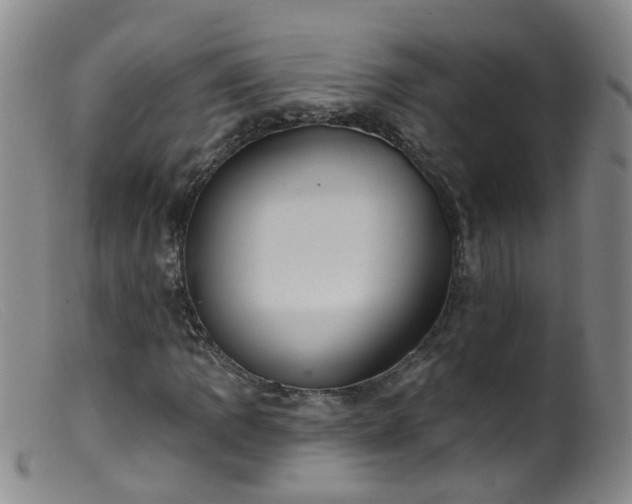 X0000099481109200805161128