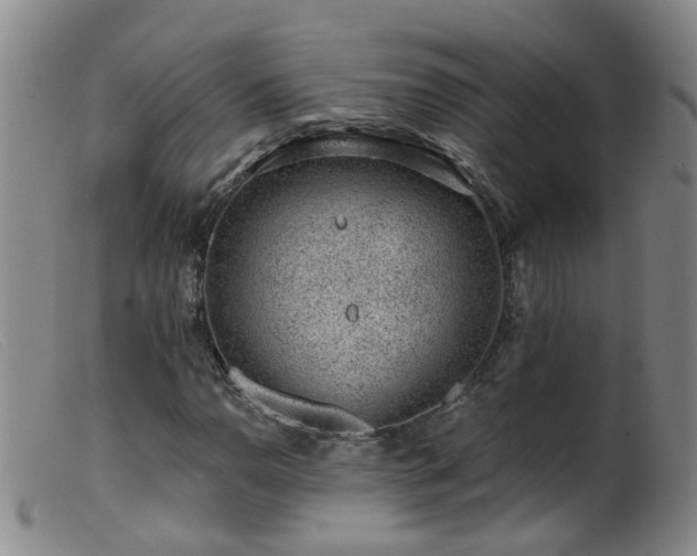 X0000099481110200805161128