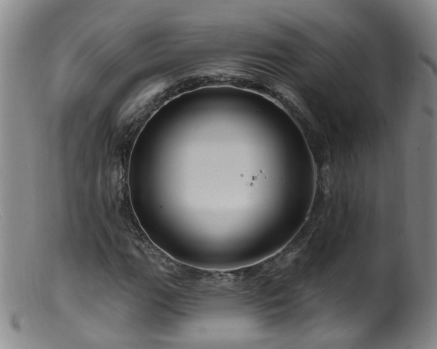 X0000099481111200805161128