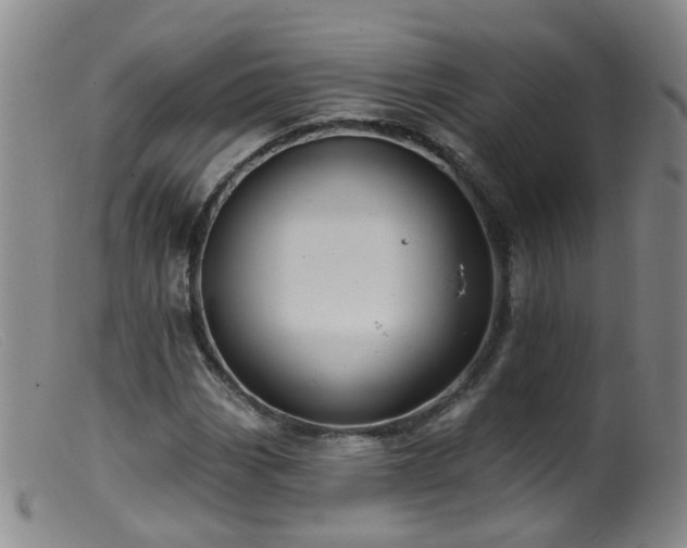 X0000099481113200805161128