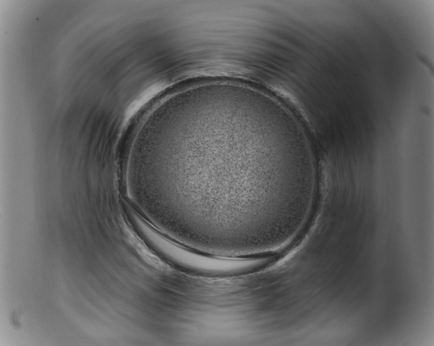 X0000099481114200805161128