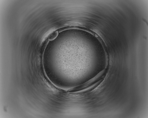X0000099481115200805161128