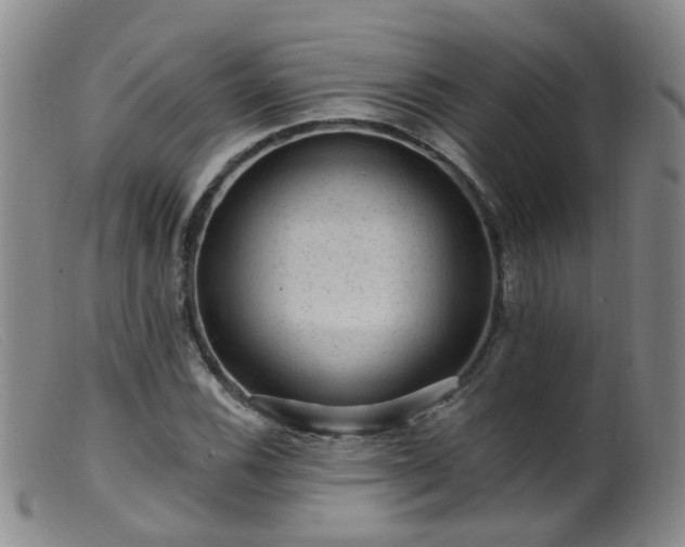 X0000099481116200805161128