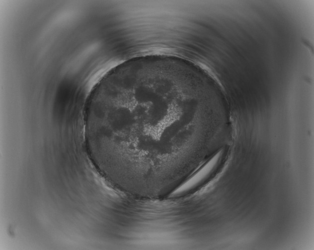 X0000099481117200805161128