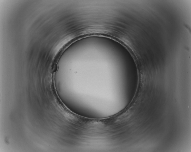 X0000099481119200805161128