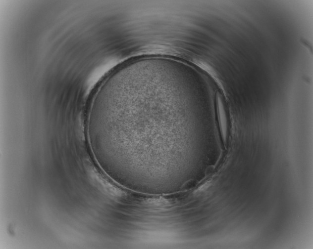 X0000099481120200805161128