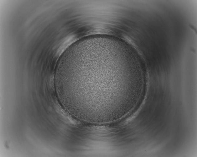 X0000099481121200805161128