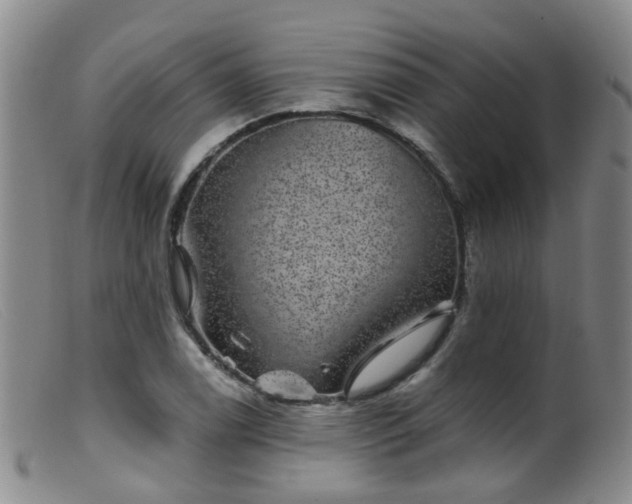 X0000099481122200805161128