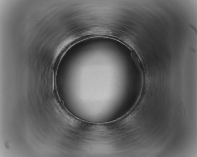 X0000099481123200805161128