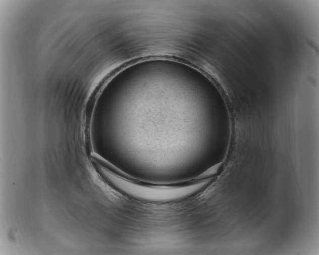 X0000099481124200805161128