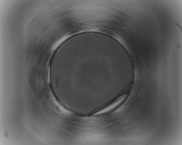 X0000099481127200805161128