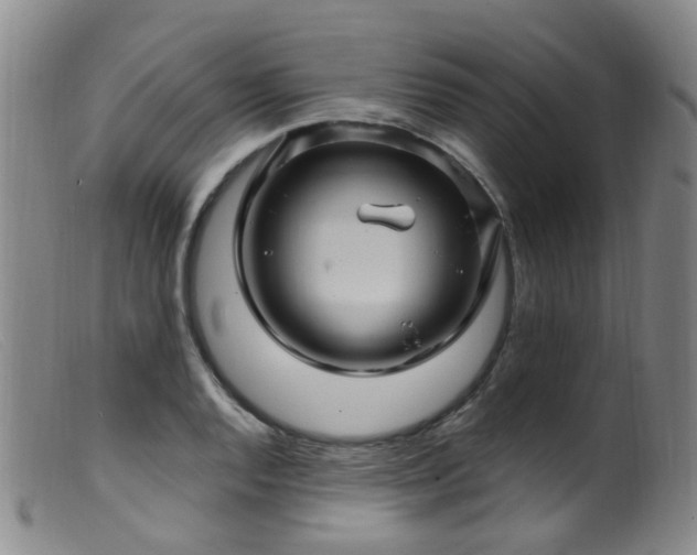X0000099481128200805161128