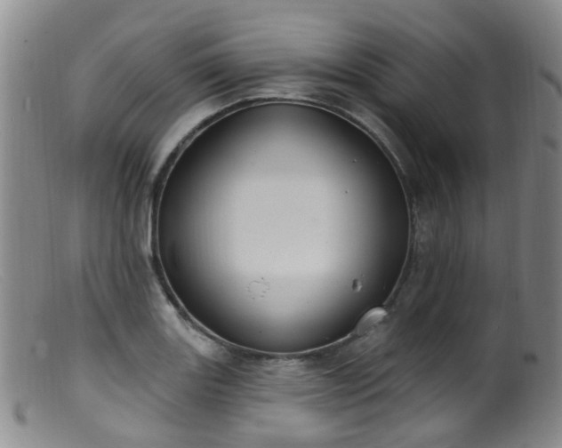 X0000099481131200805161128