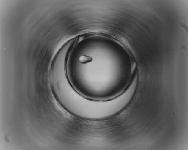 X0000099481132200805161128