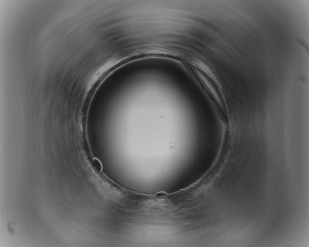 X0000099481133200805161128