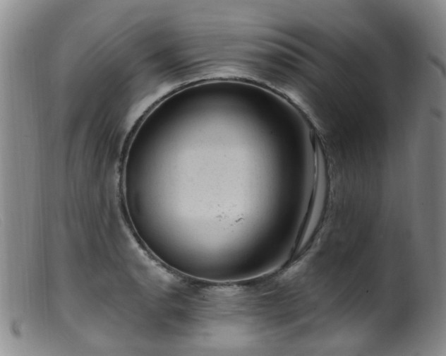 X0000099481134200805161128