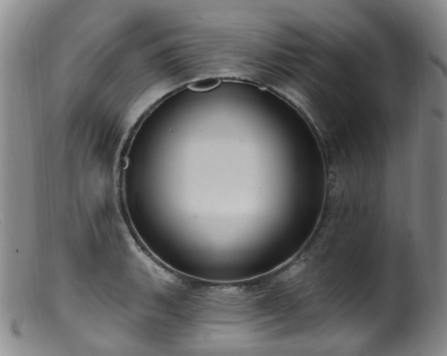 X0000099481135200805161128