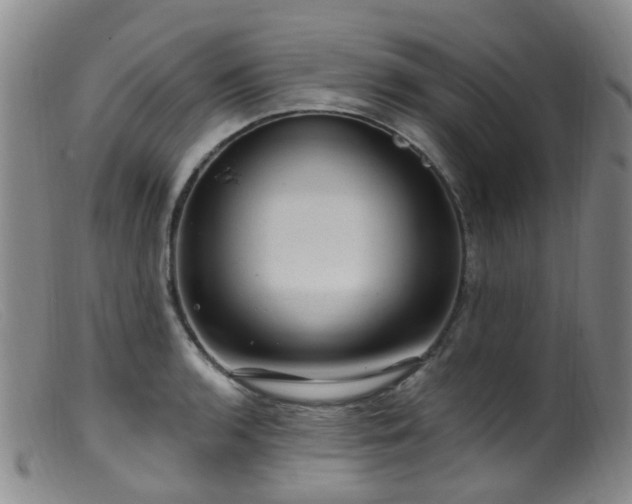 X0000099481136200805161128