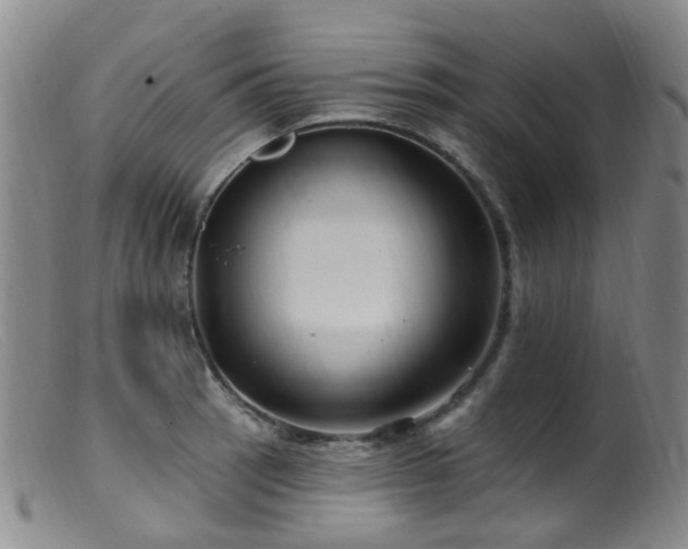 X0000099481137200805161128