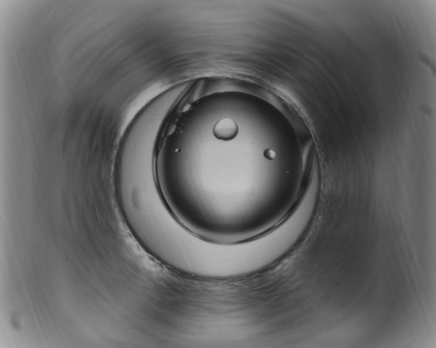 X0000099481138200805161128