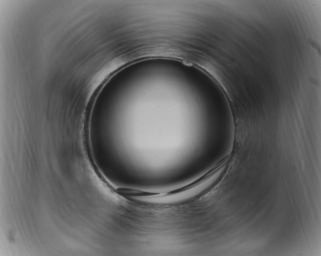 X0000099481139200805161128
