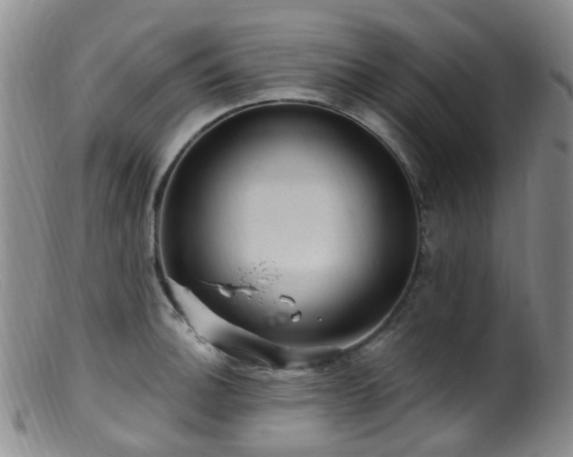 X0000099481140200805161128