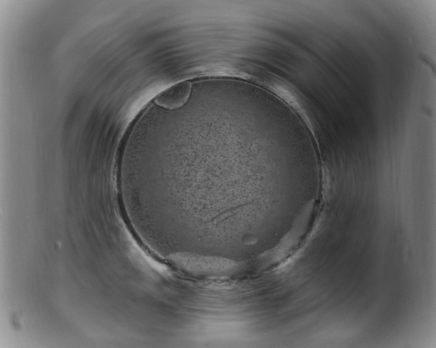 X0000099481141200805161128