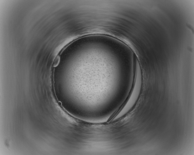 X0000099481142200805161128