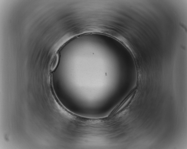 X0000099481143200805161128