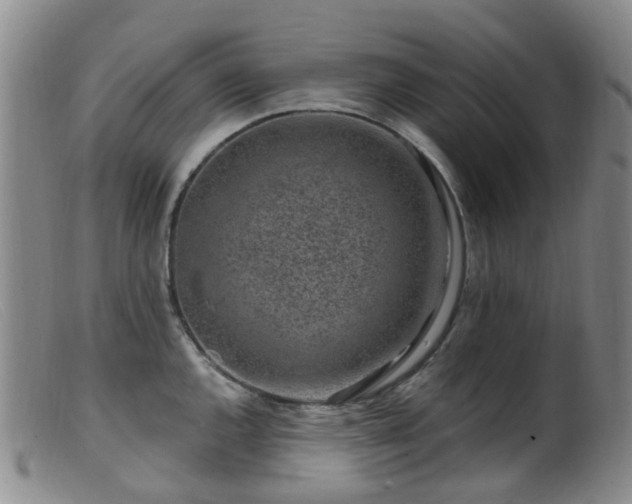 X0000099481144200805161128