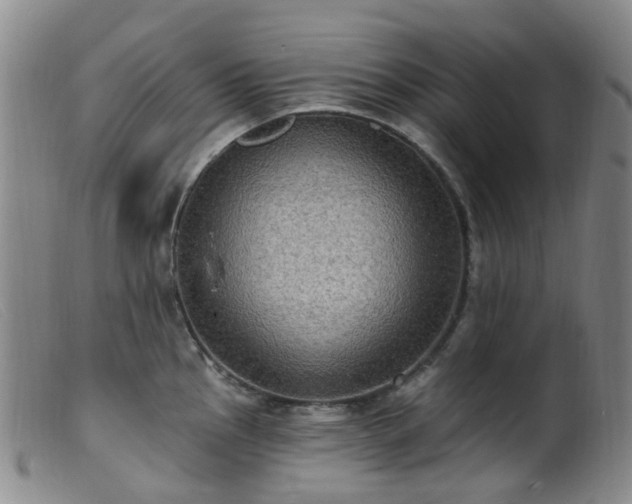 X0000099481145200805161128