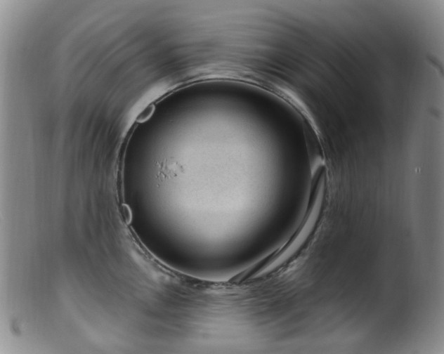 X0000099481146200805161129