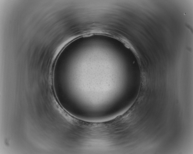 X0000099481148200805161129