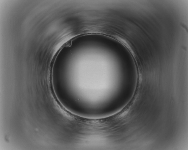 X0000099481149200805161129