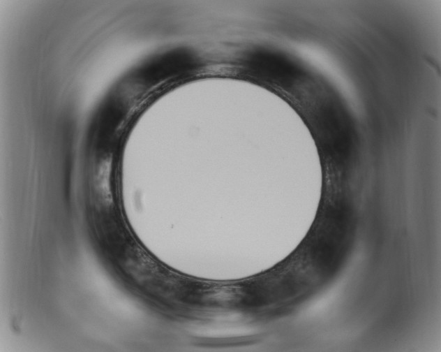 X0000099481150200805161129