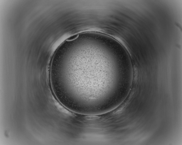 X0000099481151200805161129