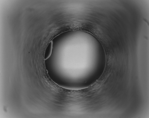 X0000099481153200805161128