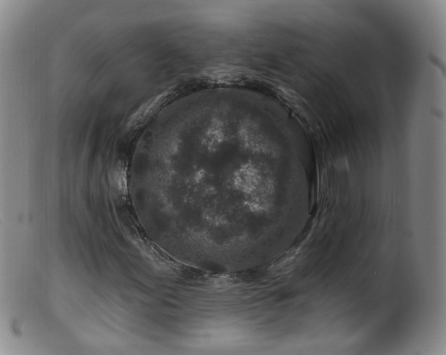 X0000099481155200805161128