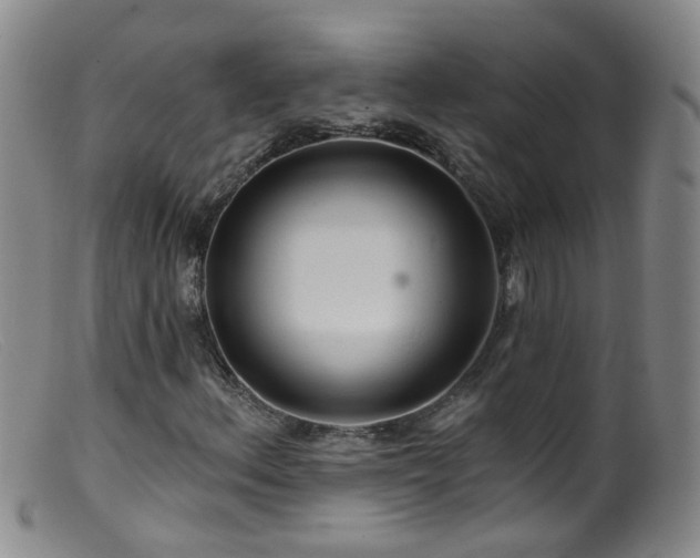X0000099481156200805161128