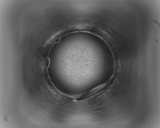 X0000099481158200805161128