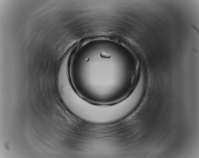 X0000099481161200805161128
