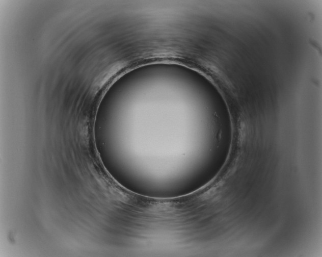 X0000099481162200805161128
