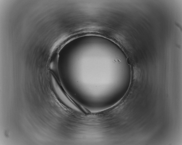 X0000099481164200805161128