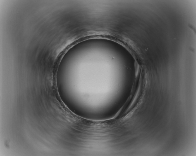 X0000099481165200805161128
