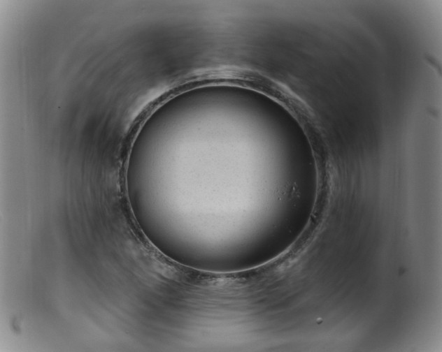 X0000099481166200805161128